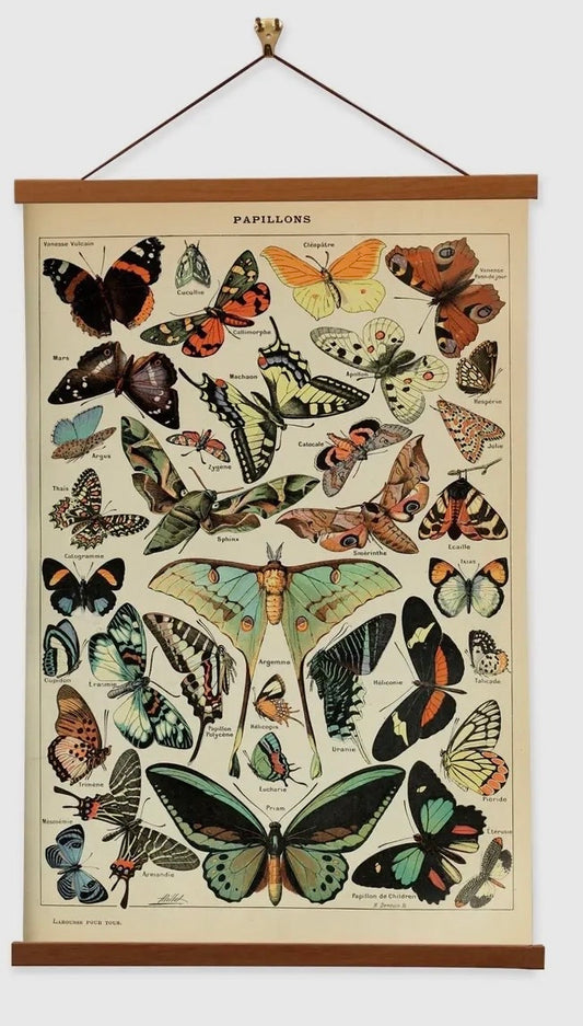 Butterfly Papillons Vintage Reproduction Banner