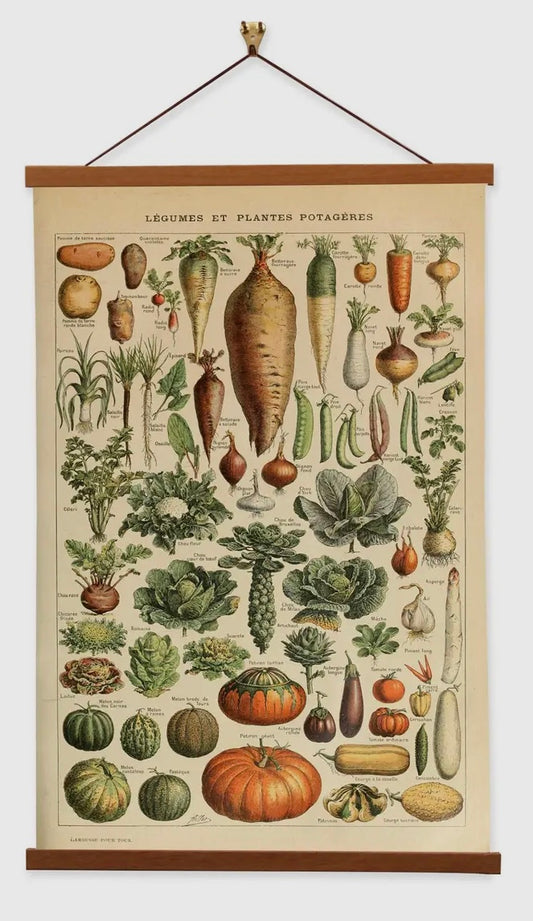 Vegetable Vintage Reproduction Banner